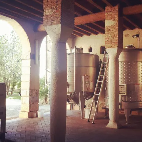 Fermentation Zone